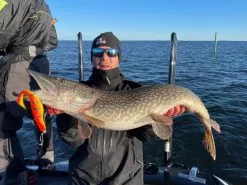 Zalt Zhad 21cm, 77g -Billig Gösjiggar Butik 221602Zr 4