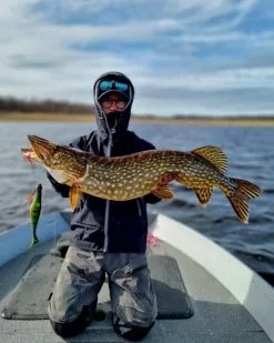 Zalt Zhad 21cm, 77g -Billig Gösjiggar Butik 221602Zr 5