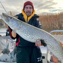 Daiwa PX Lazy Shad -Billig Gösjiggar Butik 32 217472r 3