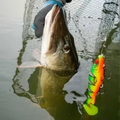 Daiwa PX Lazy Shad -Billig Gösjiggar Butik 32 217472r 5