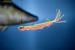 Quantum Pelagic Shad Set Hairy 21cm, 60g -Billig Gösjiggar Butik 3461007r 3