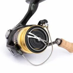 Shimano Cardiff CI4+ 5 Shimano Cardiff CI4+ -Billig Gösjiggar Butik 51SF22B010Ar 3