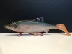 Savage Gear 3D LB River Roach Paddletail (2-Pack) -Billig Gösjiggar Butik 57456r 3