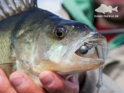 Keitech Easy Shiner -Billig Gösjiggar Butik 58440BOWEr 4