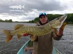 Keitech Easy Shiner -Billig Gösjiggar Butik 58440BOWEr 6