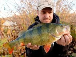 Keitech Crazy Flapper 3,6'', 9cm (7-pack) -Billig Gösjiggar Butik 58510BOWEr 5