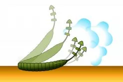 Deps Bull Flat 3.8'' -Billig Gösjiggar Butik D BF38 18r 6