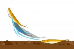 Deps Sakamata Shad 4'' -Billig Gösjiggar Butik D SS4 22r 11