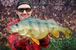 High5Lures Drop9 (6-pack) -Billig Gösjiggar Butik DRP9101r 4