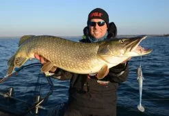 Eastfield Lures Eastfield Wingman (Made In Sweden) -Billig Gösjiggar Butik EFLCWINGMAN21r 3