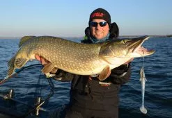 Eastfield Lures Eastfield Wingman 21cm, 80g -Billig Gösjiggar Butik EFLW001r 4