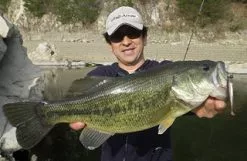 Fish Arrow Flash J Shad -Billig Gösjiggar Butik FA 4562178061659r 5