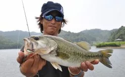 Fish Arrow Flash J Split -Billig Gösjiggar Butik FA 4562178063738r 3