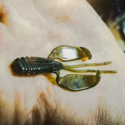 Perch Professor Fapping Craw 5,5cm (6-pack) -Billig Gösjiggar Butik FC556P Or 4