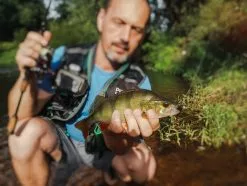 Perch Professor Fluky Shad 5,5cm (6-pack) -Billig Gösjiggar Butik FS556P Or 3