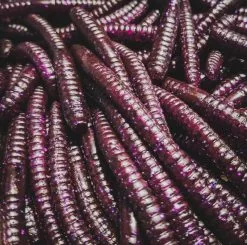 Perch Professor Flying Worm 9cm (6-pack) -Billig Gösjiggar Butik FW96P Or 3