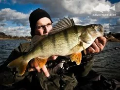 Keitech Hog Impact 8,9cm (10-pack) 6 Keitech Hog Impact 8,9cm (10-pack) -Billig Gösjiggar Butik KEI 5835CT02r 3