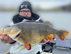 Keitech FAT Swing Impact 9,6cm -Billig Gösjiggar Butik KEI 6038CT06r 4