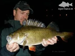 Keitech FAT Swing Impact 9,6cm -Billig Gösjiggar Butik KEI 6038CT06r 5