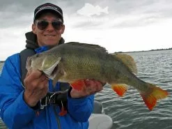 Keitech FAT Swing Impact 9,6cm -Billig Gösjiggar Butik KEI 6038CT06r 6