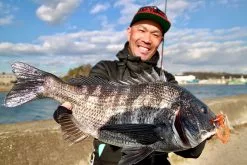 Megabass Rock Hog 8 Megabass Rock Hog -Billig Gösjiggar Butik MB 00000046364r 4