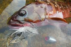 Megabass Rock Hog 9 Megabass Rock Hog -Billig Gösjiggar Butik MB 00000046364r 5