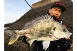 Megabass Honjikomi Bottle Shrimp 3'', 7,6cm (6-pack) -Billig Gösjiggar Butik MB HBS3 4513473290855r 3