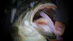 Megabass Hazedong Shad 3'', 7,6cm (8-pack) -Billig Gösjiggar Butik MB HD3 4513473331848r 4