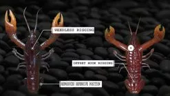 Nikko Craw 8,1cm (5-pack) -Billig Gösjiggar Butik NIKKO431r 5