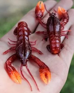 Nikko Craw 8,1cm (5-pack) -Billig Gösjiggar Butik NIKKO431r 6