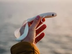 Jaeger Mego 20cm, 55g -Billig Gösjiggar Butik PKE MEG 07 1r 8