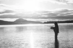 Shimano Stella FK 13 Shimano Stella FK -Billig Gösjiggar Butik STL1000FKr 7