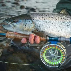 Vision Stifu Flyrod -Billig Gösjiggar Butik VFU4967r 3