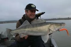 Westin Fishing Westin TwinTeez -Billig Gösjiggar Butik WS01118r 5