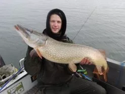 SvartZonker Big McRubber V2 - (2 Pack) -Billig Gösjiggar Butik bigmcrubberv2 2pr 12