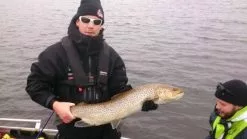 SvartZonker Big McRubber V2 - (2 Pack) -Billig Gösjiggar Butik bigmcrubberv2 2pr 15