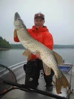 SvartZonker Big McRubber V2 - (2 Pack) -Billig Gösjiggar Butik bigmcrubberv2 2pr 3