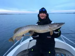 SvartZonker Big McRubber V2 - (2 Pack) -Billig Gösjiggar Butik bigmcrubberv2 2pr 4