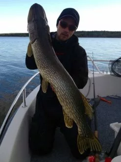 SvartZonker Big McRubber V2 - (2 Pack) -Billig Gösjiggar Butik bigmcrubberv2 2pr 5