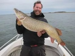 SvartZonker Big McRubber V2 - (2 Pack) -Billig Gösjiggar Butik bigmcrubberv2 2pr 6