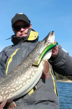 SvartZonker Big McRubber V2 - (2 Pack) -Billig Gösjiggar Butik bigmcrubberv2 2pr 8