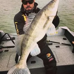 Gator Gum 22 Cm (1-Pack) -Billig Gösjiggar Butik gatorgumr 3