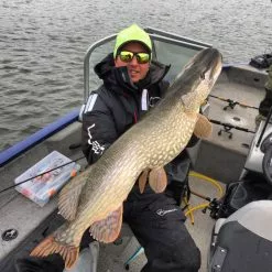 Gator Gum 22 Cm (1-Pack) -Billig Gösjiggar Butik gatorgumr 5