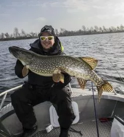 Gator Gum 22 Cm (1-Pack) -Billig Gösjiggar Butik gatorgumr 6