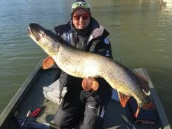 Gator Gum 22 Cm (1-Pack) -Billig Gösjiggar Butik gatorgumr 7