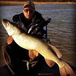 Gator Gum 22 Cm (1-Pack) -Billig Gösjiggar Butik gatorgumr 8