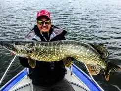 Gator Gum 22 Cm (1-Pack) -Billig Gösjiggar Butik gatorgumr 9