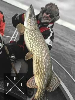 Eastfield Lures Eastfield Wingman Curly 23cm, 77g -Billig Gösjiggar Butik wingman curlr 3