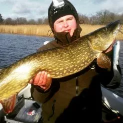 Eastfield Lures Eastfield Wingman Curly 23cm, 77g -Billig Gösjiggar Butik wingman curlr 4