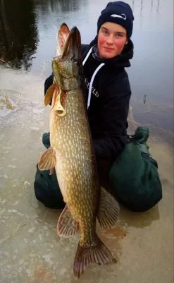 Eastfield Lures Eastfield Wingman Curly 23cm, 77g -Billig Gösjiggar Butik wingman curlr 5